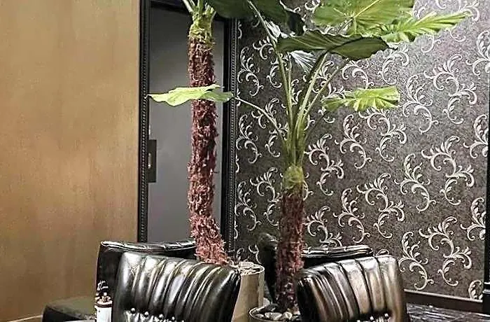 Grand 5 & Plaza Sukhumvit